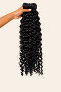 Burmese Curly